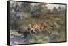 A Vixen with Her Cubs in a Wooded Marshy Landscape-Bruno Andreas Liljefors-Framed Stretched Canvas