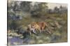 A Vixen with Her Cubs in a Wooded Marshy Landscape-Bruno Andreas Liljefors-Stretched Canvas