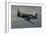 A Vought F4U-4 Corsair in Korean War Markings-null-Framed Photographic Print