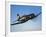 A Vought F4U-5 Corsair in Flight-Stocktrek Images-Framed Photographic Print