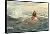 A Voyage to the North Wind-null-Framed Stretched Canvas