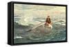 A Voyage to the North Wind-null-Framed Stretched Canvas