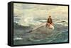 A Voyage to the North Wind-null-Framed Stretched Canvas