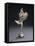 A W.M.F. Electroplated Bronze Sculptural Flower Holder-Franz von Stuck-Framed Stretched Canvas