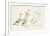 A Waddle About-Kristine Hegre-Framed Giclee Print