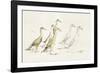 A Waddle About-Kristine Hegre-Framed Giclee Print