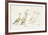 A Waddle About-Kristine Hegre-Framed Giclee Print