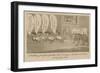 A Waddling Proccession from the Stock Exchange, or the Bulls and Bears Making Long Faces-null-Framed Giclee Print