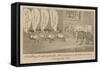 A Waddling Proccession from the Stock Exchange, or the Bulls and Bears Making Long Faces-null-Framed Stretched Canvas