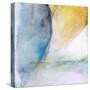 A Waking Dream-Michelle Oppenheimer-Stretched Canvas