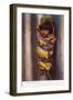 A Walapai child-Charles Marion Russell-Framed Giclee Print