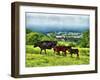 A Walk At Devils Dyke-Dorothy Berry-Lound-Framed Giclee Print