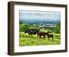 A Walk At Devils Dyke-Dorothy Berry-Lound-Framed Giclee Print