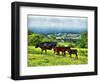 A Walk At Devils Dyke-Dorothy Berry-Lound-Framed Giclee Print