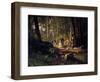 A Walk in a Forest, 1869-Ivan Shishkin-Framed Giclee Print