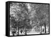 A Walk in Lincoln Park, Chicago-null-Framed Stretched Canvas