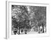 A Walk in Lincoln Park, Chicago-null-Framed Photo