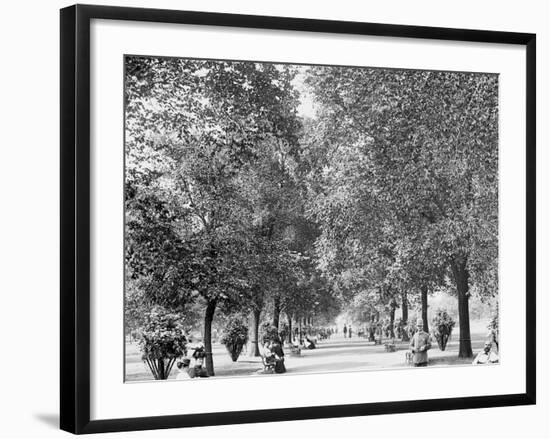 A Walk in Lincoln Park, Chicago-null-Framed Photo