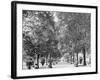 A Walk in Lincoln Park, Chicago-null-Framed Photo