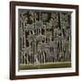 A Walk in the Country, 1989-Celia Washington-Framed Giclee Print