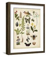 A Walk in the Forest I-Naomi McCavitt-Framed Art Print