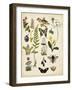 A Walk in the Forest I-Naomi McCavitt-Framed Art Print