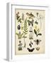 A Walk in the Forest I-Naomi McCavitt-Framed Art Print