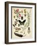 A Walk in the Forest II-Naomi McCavitt-Framed Art Print