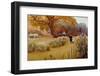 A Walk in the Garden by Frederick Hamilton Jackson-Fine Art Photographic-Framed Photographic Print