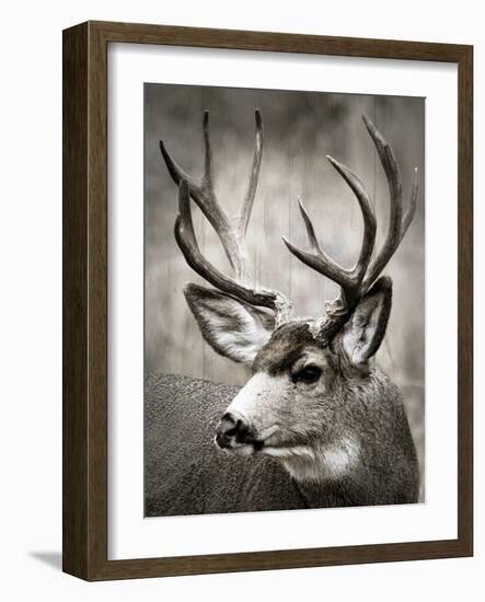 A Walk in the Meadow-null-Framed Art Print