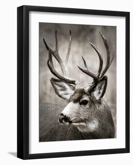 A Walk in the Meadow-null-Framed Art Print