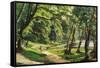 A Walk in the Park-Carsten Henrichsen-Framed Stretched Canvas