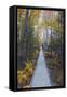 A Walk in the Wild Gardens, Acadia National Park, Maine, Autmn Path-Vincent James-Framed Stretched Canvas