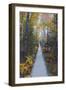 A Walk in the Wild Gardens, Acadia National Park, Maine, Autmn Path-Vincent James-Framed Photographic Print