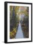 A Walk in the Wild Gardens, Acadia National Park, Maine, Autmn Path-Vincent James-Framed Photographic Print