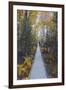A Walk in the Wild Gardens, Acadia National Park, Maine, Autmn Path-Vincent James-Framed Photographic Print