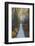 A Walk in the Wild Gardens, Acadia National Park, Maine, Autmn Path-Vincent James-Framed Photographic Print