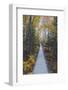 A Walk in the Wild Gardens, Acadia National Park, Maine, Autmn Path-Vincent James-Framed Photographic Print