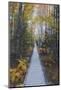 A Walk in the Wild Gardens, Acadia National Park, Maine, Autmn Path-Vincent James-Mounted Photographic Print