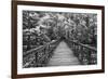 A Walk Into Tranquility-Mike Jones-Framed Art Print