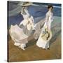 A Walk on the Beach, 1909-Joaqu?n Sorolla y Bastida-Stretched Canvas