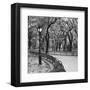 A Walk Through the Park-Erin Clark-Framed Art Print