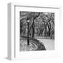 A Walk Through the Park-Erin Clark-Framed Art Print