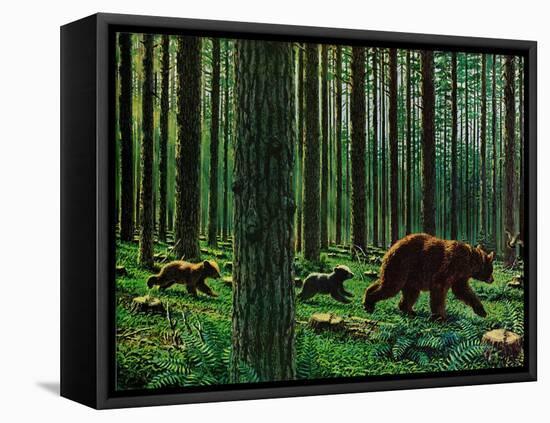 A Walk Through the Woods-null-Framed Stretched Canvas