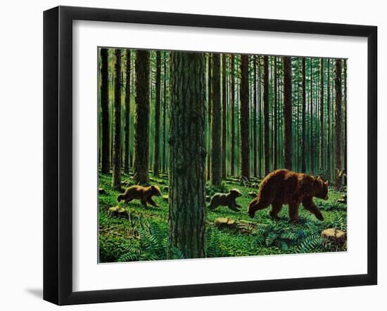 A Walk Through the Woods-null-Framed Giclee Print