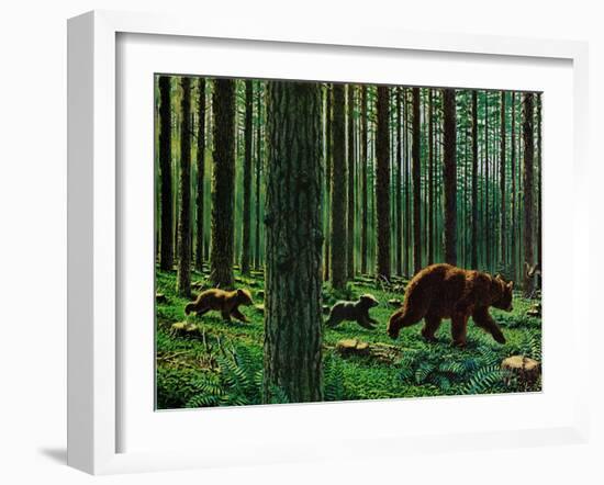 A Walk Through the Woods-null-Framed Giclee Print