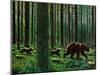 A Walk Through the Woods-null-Mounted Giclee Print