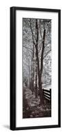 A Walk To Remember II-Ily Szilagyi-Framed Giclee Print