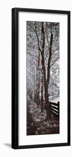 A Walk To Remember II-Ily Szilagyi-Framed Giclee Print