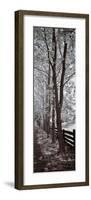 A Walk To Remember II-Ily Szilagyi-Framed Giclee Print